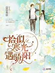 恰似寒光遇骄阳（司夜寒、聂无忧、纪修染）